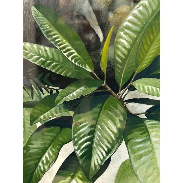 Meticulously Detailed Watercolors of Monkeys -Set of 3 For Sale - Image 9 of 12