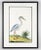 Traditional Reproduction Crane Bird Prints - A Pair For Sale - Image 3 of 5