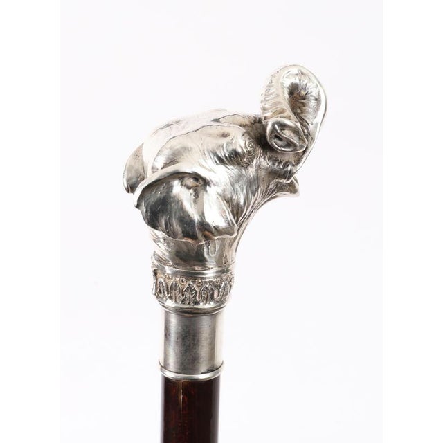 Antique Sterling Silver Elephant Walking Cane Stick, 1800s For Sale - Image 6 of 17