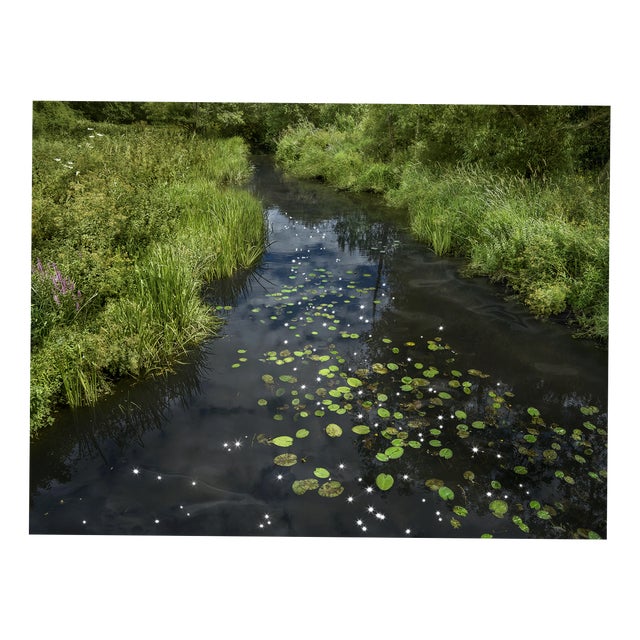 Ellie Davies, Chalk Streams 1, 2023, Photograph For Sale