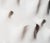 1960s Slab Coat Rack attributed to De Pas, D'Urbino & Lomazzi for Longato, Italy, 1960s For Sale - Image 5 of 14