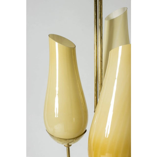 Brass and Glass Chandelier by Gunnel Nyman & Paavo Tynell For Sale - Image 9 of 10