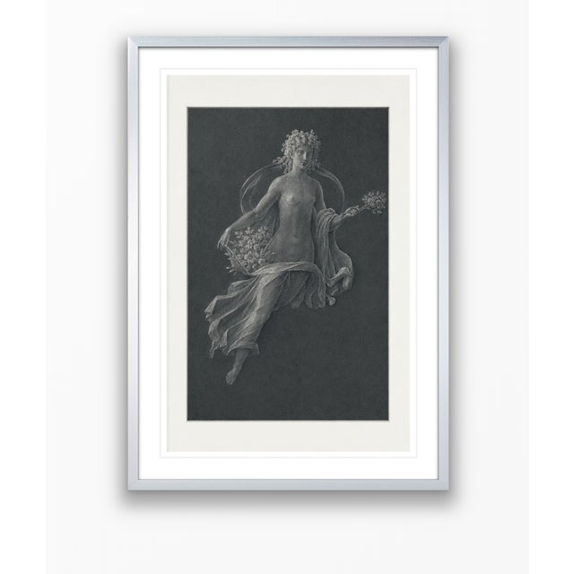 Atelier Aria Lumae Wilhelm Zahn Pompeian Flora Primavera Fresco Graphite Study High Contrast Fine Art Gallery Board Print 16 X 24 For Sale - Image 11 of 16