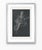 Atelier Aria Lumae Wilhelm Zahn Pompeian Flora Primavera Fresco Graphite Study High Contrast Fine Art Gallery Board Print 16 X 24 For Sale - Image 11 of 16