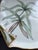 1900 - 1909 Antique Tressemanes & Vogt Hand-Painted Porcelain Jewelry Tray, Limoges, France C. Early 1900s For Sale - Image 5 of 12