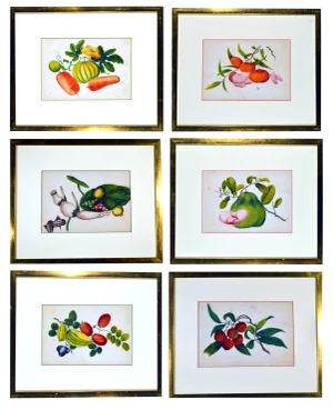 Mid-19th Century China Trade Watercolour Paintings of Vegetables - Set of 6