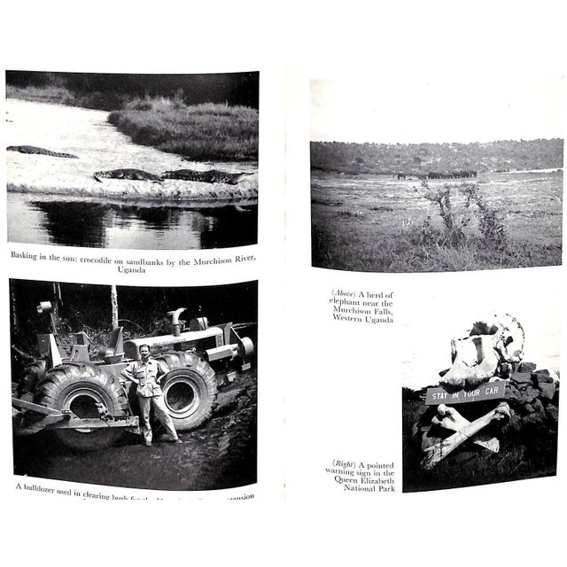 Paper "Blind Safari" 1961 Southam, h.j. For Sale - Image 7 of 8