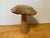 Handmade Carved Hardwood Mushroom For Sale - Image 4 of 7
