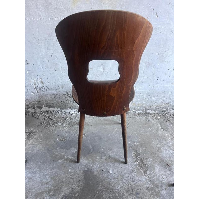 Wood Plywood Dining Chairs from Baumann, France, 1950s, Set of 6 For Sale - Image 7 of 9