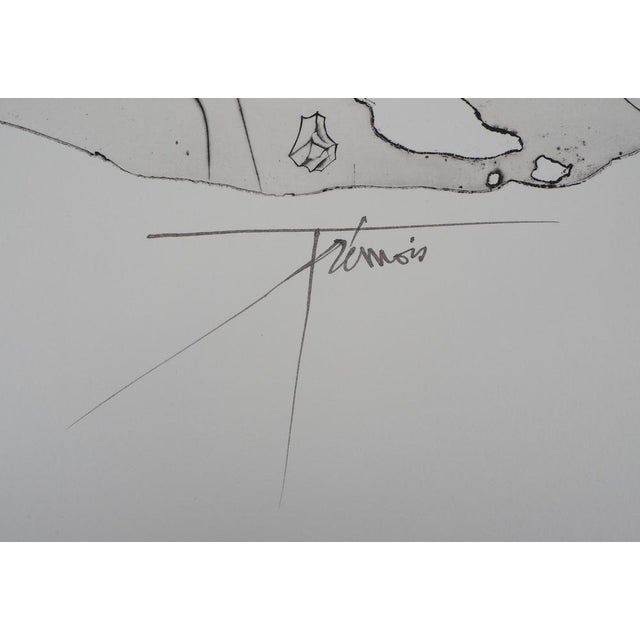 Pierre-Yves Tromois, Effrayant, Engraving For Sale - Image 3 of 8