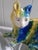 A wonderfully expressive Italian majolica cat sculpture dating to the mid-20th century, hand painted in saturated tones of...