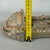 Holy Water Stoup Madonna and Child in Terracotta from Ignoto For Sale - Image 9 of 11
