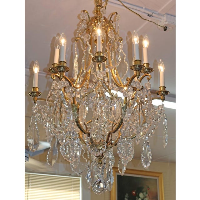 French Late 19th Century French Louis XV Style Brass & Crystal 12 Light Cage Chandelier For Sale - Image 3 of 18