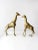 Mid Century Brass Giraffes Pair For Sale - Image 13 of 13
