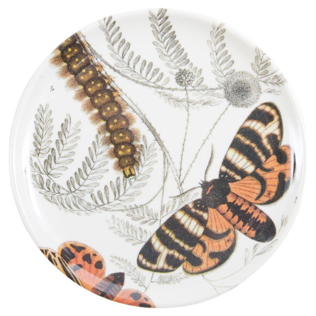 2020s Specimen Butterfly Coasters, Set of 4 For Sale - Image 5 of 6
