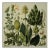 Dark Green Antique Botanical Garden Study No. 5 - Natural History Fine Art Print For Sale