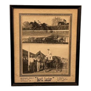 Vintage Equestrian 1949 Horse Racing "Band Leader" Framed Photograph - 12x14 For Sale