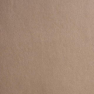 Schumacher Metallic Vegan Leather Outdoor Fabric In Dune For Sale