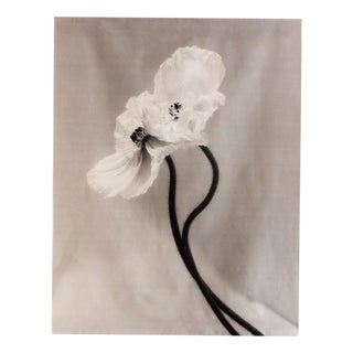 Coupled Poppies - Organic Cotton Canvas Scroll on Bamboo, Limited Edition 2 of 5 2023 For Sale