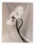 Coupled Poppies - Organic Cotton Canvas Scroll on Bamboo, Limited Edition 2 of 5 2023 For Sale
