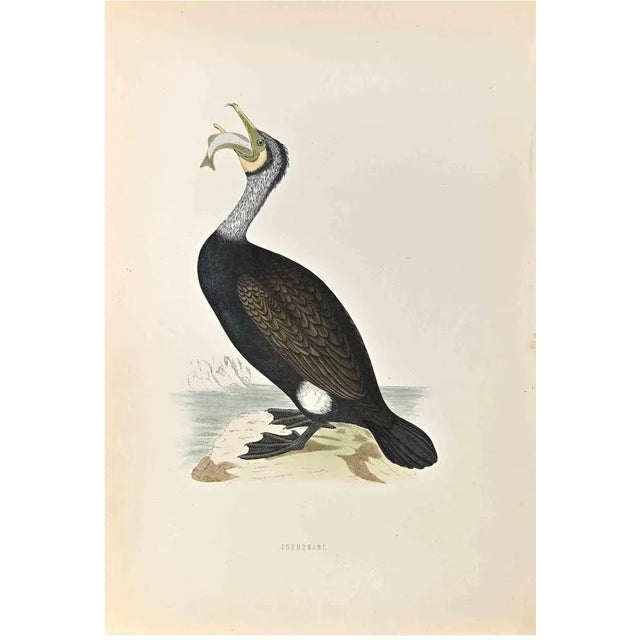 Cormorant is a modern artwork realized in 1870 by the British artist Alexander Francis Lydon (1836-1917) . Woodcut print,...