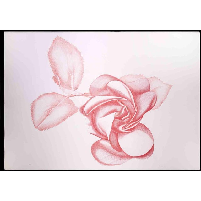 Red Rose is an original contemporary artwork realized by Giacomo Porzano in 1970s. Colored etching Hand-signed on the...