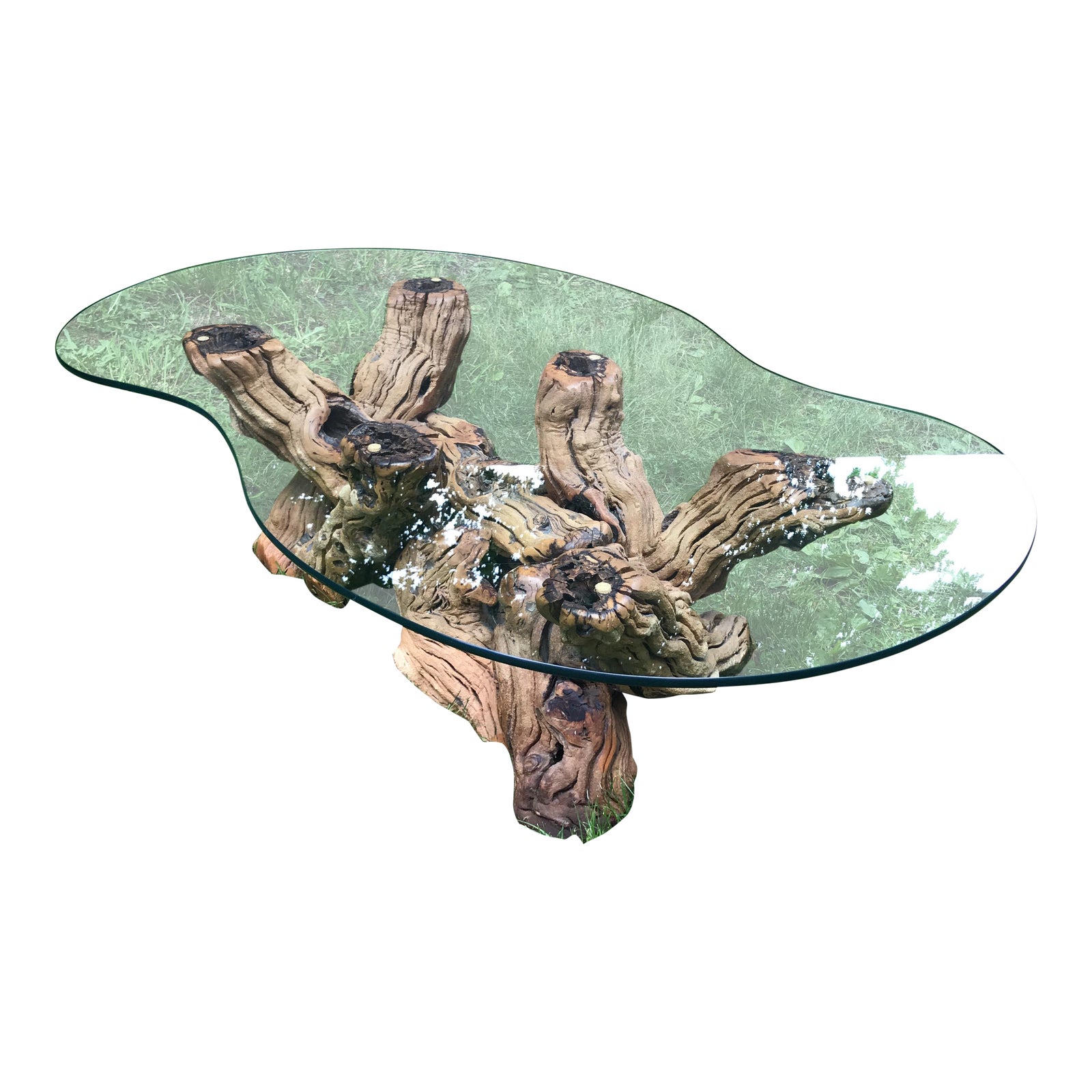 100 Year Old Grape Vine Base Coffee Table With Biomorphic Cut Glass Top