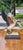 Large Limited Edition Hand-Painted Mallard Duck Figurine Sculpture With Raised Wings For Sale - Image 11 of 12
