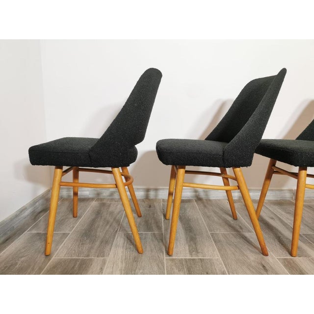 Dining Chairs by Oswald Haerdtl, Set of 4, in Restored conditions. Designed 1960 to 1969