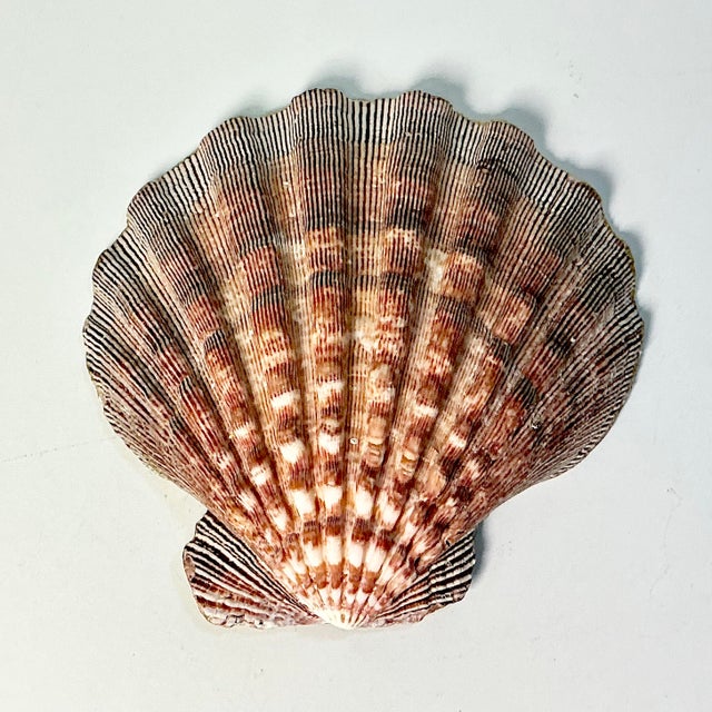 1970s Vintage Boho Chic Folk Art Coastal Découpage Clam Seashell Catchall Trinket Dish, Blue Floral For Sale - Image 10 of 10