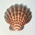 1970s Vintage Boho Chic Folk Art Coastal Découpage Clam Seashell Catchall Trinket Dish, Blue Floral For Sale - Image 10 of 10