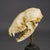 1900 - 1909 Antique Real Skull of a Badger, Germany Ca. 1900s For Sale - Image 5 of 6