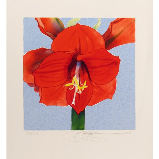 Red Gary Bukovnik, Amaryllis, 1998 For Sale - Image 8 of 8