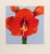 Red Gary Bukovnik, Amaryllis, 1998 For Sale - Image 8 of 8