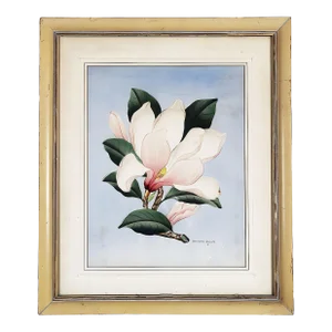 White/Pink Magnolia Watercolor Painting on Paper Signed Shirrell Graves, Framed