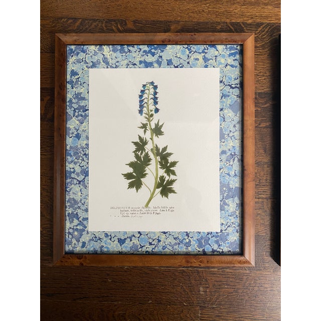 2020s Reproduction Pressed Flower Botanical Prints - Custom Burlwood Frames - Set of 2 For Sale - Image 5 of 8