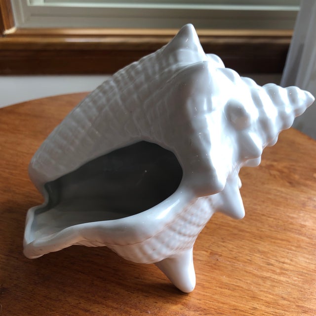 Late 20th Century Pearl White Conch Shells Cachepots Set of 2 Chairish