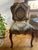 Vintage Dining Set - Includes 4 Chairs For Sale In New York - Image 6 of 7