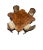 Antique Burl Wood Game Table For Sale In San Francisco - Image 6 of 6