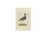 Sepp & Nozeman, Spotted Redshank, 1797, Paper For Sale - Image 3 of 5