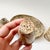 Beige Vintage Fossil Coral Marble Condiment Set With Tray, Salt & Pepper Shakers and Toothpick Holder - Set of 4 For Sale - Image 8 of 12