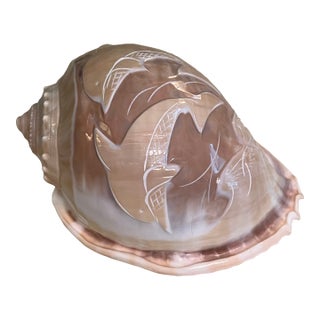Vintage Carved Scotch Bonnet Seashell With Dolphins For Sale