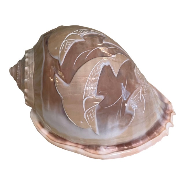 Vintage Carved Scotch Bonnet Seashell With Dolphins For Sale