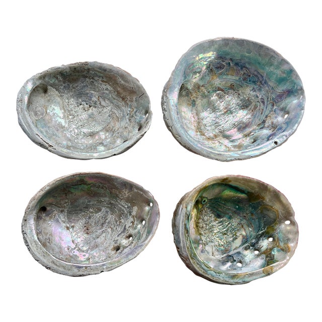 1970s Natural Abalone Shells - Set of Four For Sale