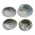 1970s Natural Abalone Shells - Set of Four For Sale