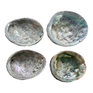 1970s Natural Abalone Shells - Set of Four