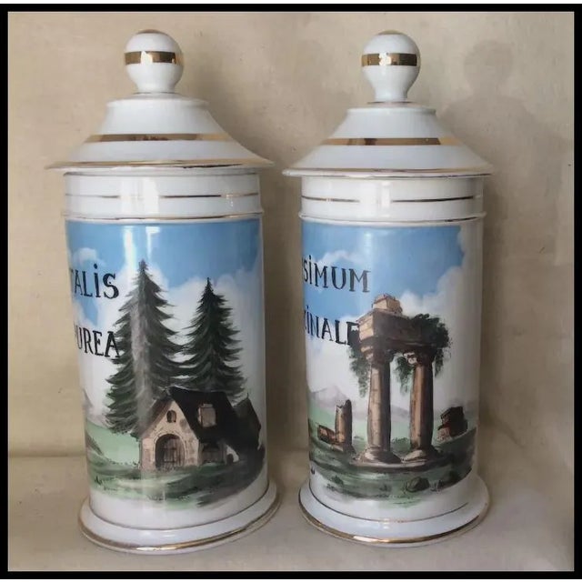 Early 20th Century Antique 19thC French Apothecary, Drug Store Jars, Hand Painted For Sale - Image 5 of 13