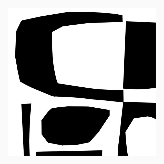 Black on White Forest Fine Art Print 30" X 38" by Liz Roache For Sale - Image 4 of 6