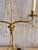 Bronze 19th Century Russian Neoclassical Gilded Bronze Table Lamp - a Pair For Sale - Image 8 of 13