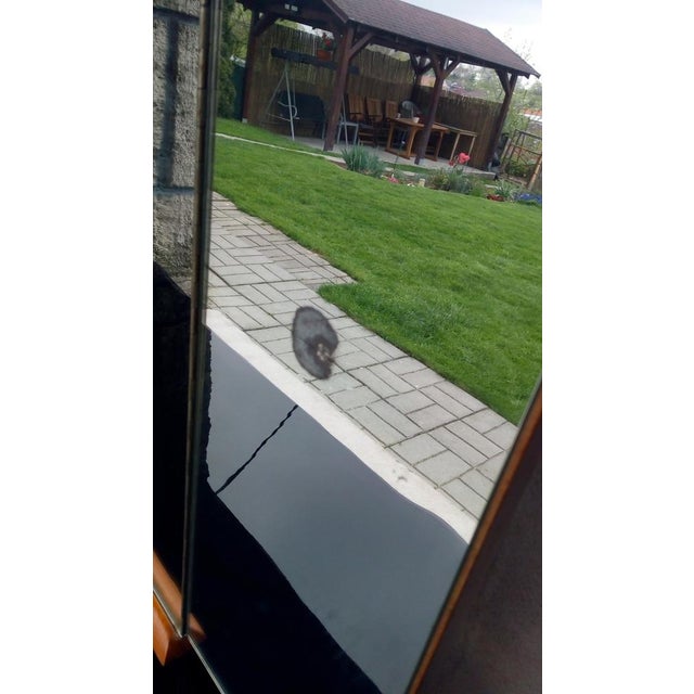 Wood Dressing Table by Jindrich Halabala for Up Závody, 1950s For Sale - Image 7 of 18